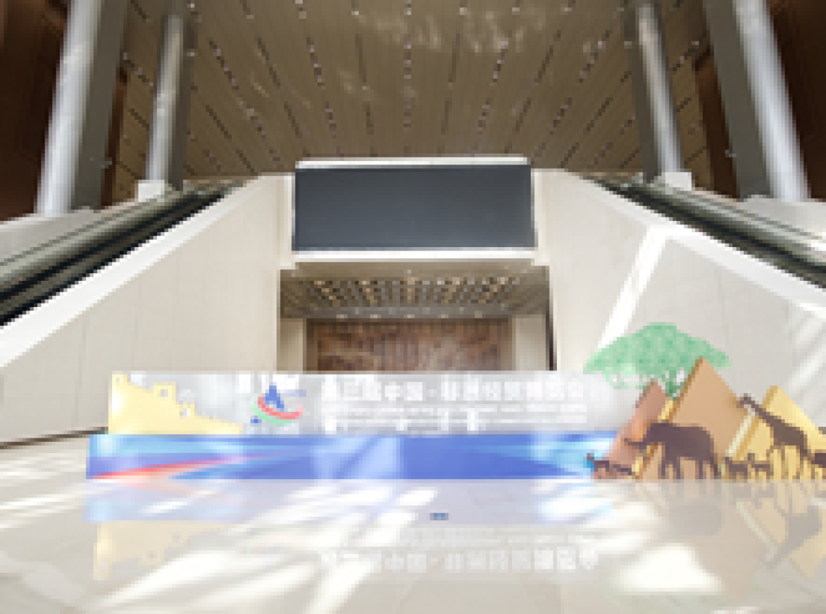Exposition économique et commerciale sino-africaine : convergence des opportunités