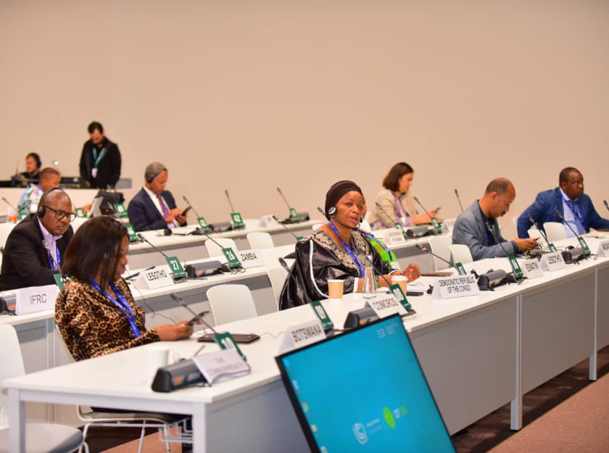 COP28 : Dubaï, capitale mondiale du climat