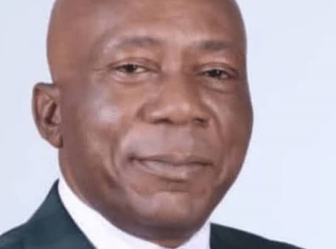 Cohésion nationale, sécurité et autres défis, RDC : le Collectif pour l’UDPS Originelle invite Félix Tshisekedi à passer aux actes !