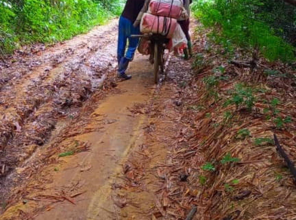 Guerre dans l'Est de la RDC : le territoire de Shabunda plongé dans l'incertitude