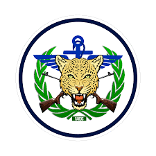 Exécution de 17 civils par la coalition RDF/AFC/M23, RDC : les FARDC condamnent ce énième pogrom et appellent la population à la vigilance