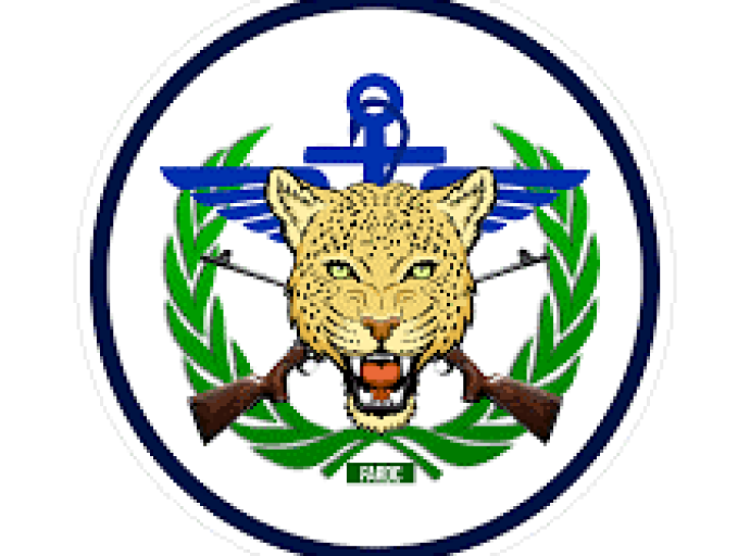 Exécution de 17 civils par la coalition RDF/AFC/M23, RDC : les FARDC condamnent ce énième pogrom et appellent la population à la vigilance