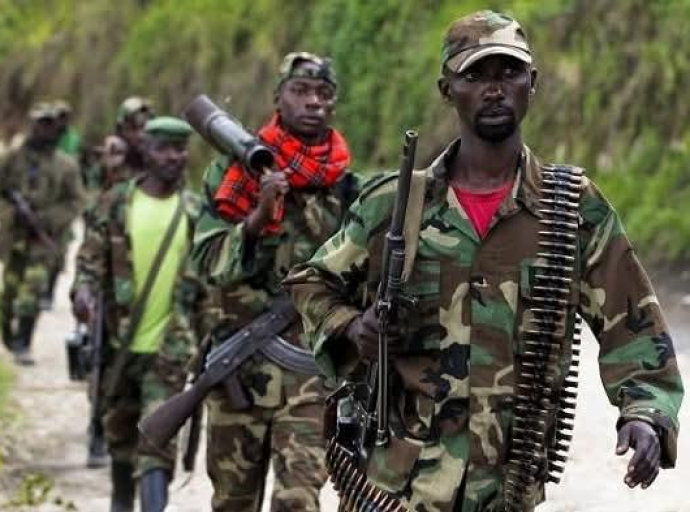 Le processus de désengagement des FDLR : L’armée rwandaise accusée d’entraver la reddition des rebelles vers la Monusco