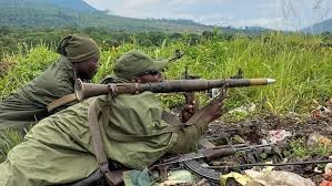 Le Pape exhorte au respect des processus de paix en RDC