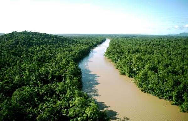 Objectif restaurer 8 millions d'hectares de forêts d'ici 2030, Forêt : le Gouvernement adopte le programme « La forêt, c'est nous » !