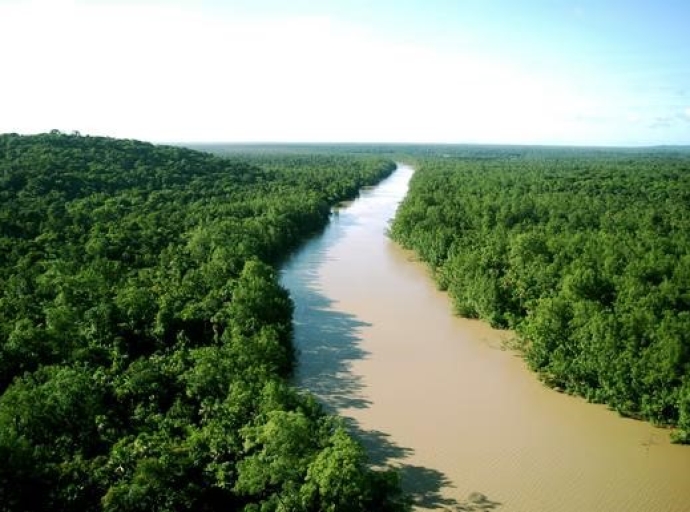 Objectif restaurer 8 millions d'hectares de forêts d'ici 2030, Forêt : le Gouvernement adopte le programme « La forêt, c'est nous » !